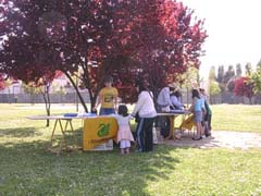 foto della manifestazione 