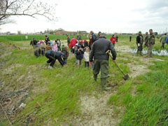 foto festa degli alberi