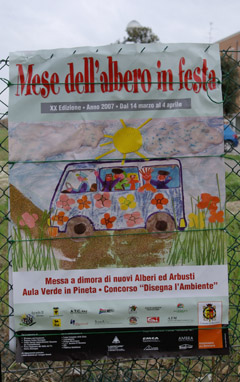 foto festa degli alberi