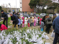 foto festa degli alberi