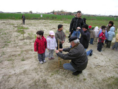 foto festa degli alberi