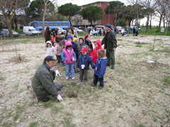 foto festa degli alberi