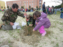 foto festa degli alberi