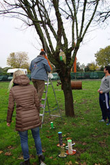 foto laboratorio hera dei bimbi