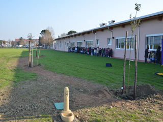 foto piantiamo un milione di alberi