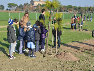 foto piantiamo un milione di alberi