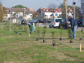 foto piantiamo un milione di alberi