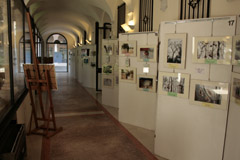 foto della mostra