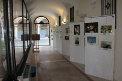 foto della mostra