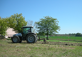 foto orto di classe 2014