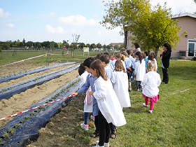 foto orto di classe 2014