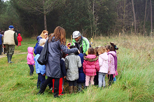 foto mese dell'albero in pineta ramazzotti