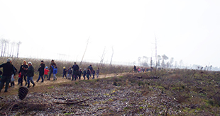 foto mese dell'albero in pineta ramazzotti