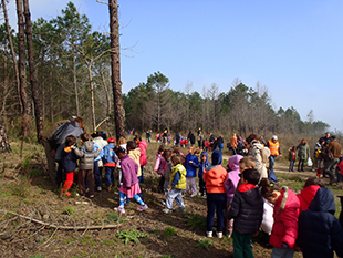 foto mese dell'albero in pineta ramazzotti