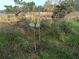 foto mese dell'albero in pineta ramazzotti