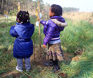 foto mese dell'albero in pineta ramazzotti