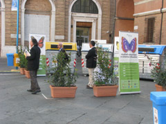 foto della manifestazione