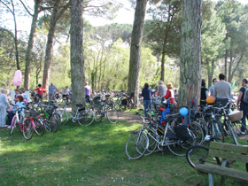 foto sciame di bici 2011