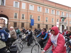 foto sciame di biciclette 2012