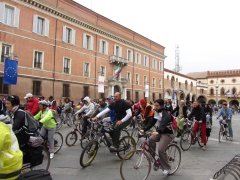 foto sciame di biciclette 2012