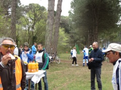 foto sciame di biciclette 2012