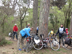 foto sciame di biciclette 2012