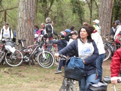 foto sciame di biciclette 2012