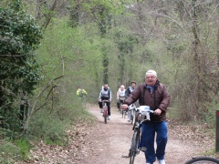 foto sciame di biciclette 2012