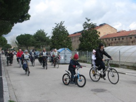 foto sciame di biciclette 2013