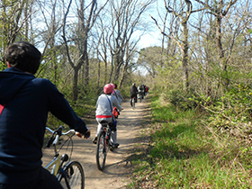 foto sciame di biciclette 2014