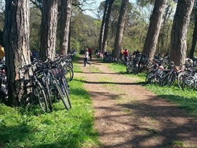 foto sciame di biciclette 2014