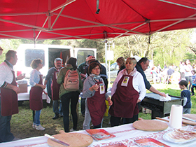 foto sciame di biciclette 2014