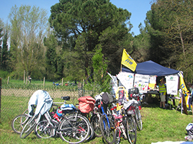 foto sciame di biciclette 2014