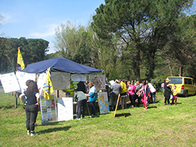 foto sciame di biciclette 2014