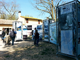 foto sciame di biciclette 2014