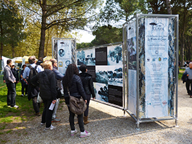 foto sciame di biciclette 2014