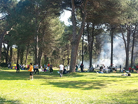 foto sciame di biciclette 2014