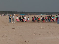 la pulizia della spiaggia