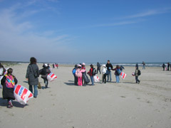 la pulizia della spiaggia