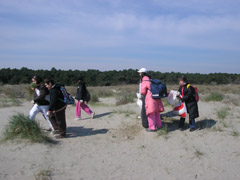 la pulizia della spiaggia