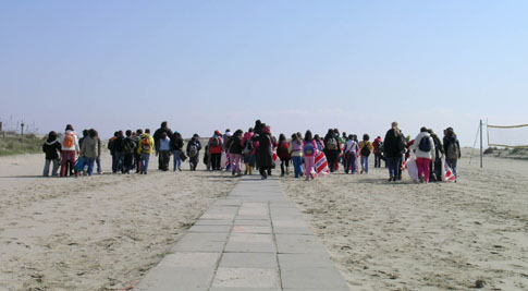 la pulizia della spiaggia