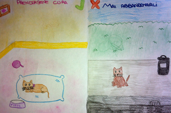 disegno concorso Gatto mio sostenibile