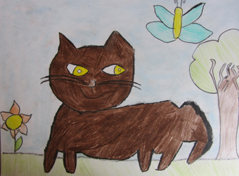 disegno concorso Gatto mio sostenibile