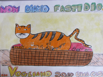 disegno concorso Gatto mio sostenibile