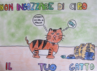 disegno concorso Gatto mio sostenibile