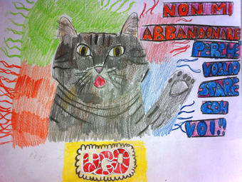 disegno concorso Gatto mio sostenibile