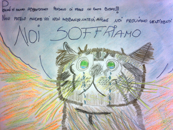 disegno concorso Gatto mio sostenibile