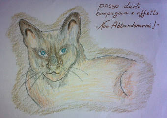 disegno concorso Gatto mio sostenibile