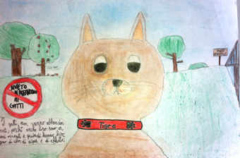 disegno concorso Gatto mio sostenibile