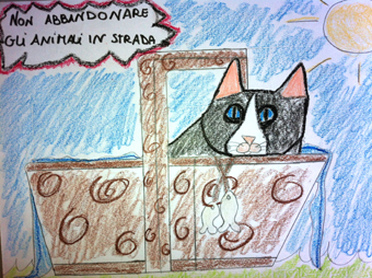 disegno concorso Gatto mio sostenibile